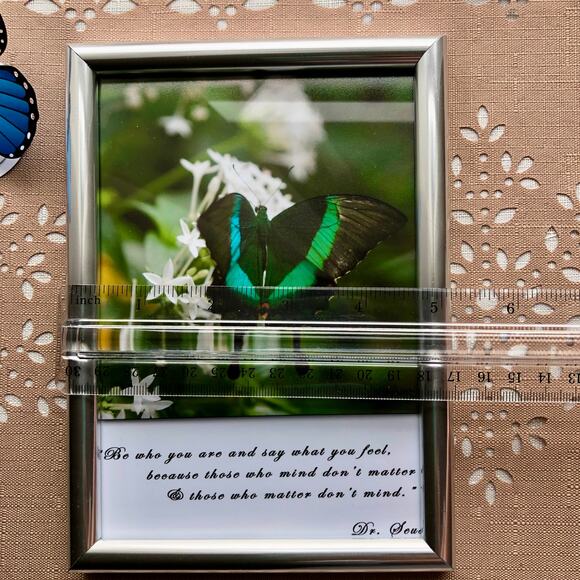 NEW Framed Butterfly on Jasmine Flower Print with Dr. Seuss Quote - Picture 7 of 8